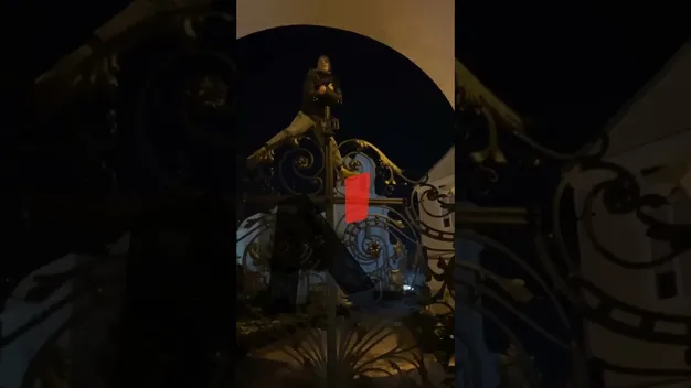 ⚡️ У Луцьку хлопець заліз на браму Свято-Троїцького собору, впав і зламав ногу (відео)