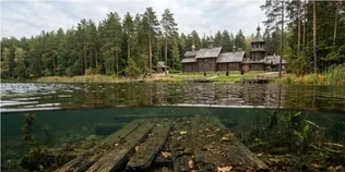 Серед вікових сосен на Поліссі причаїлось озеро, дно якого встелили дубом для панночки (відео)