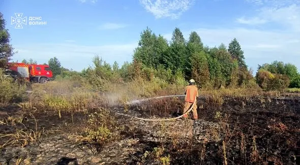 🔥 Випалили 3 гектари сухостою: на Волині гасили масштабні пожежі та спіймали палія (фото)
