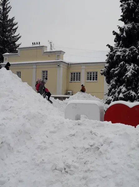 У центрі Луцька діти підкоряли величезну гору снігу (фото)