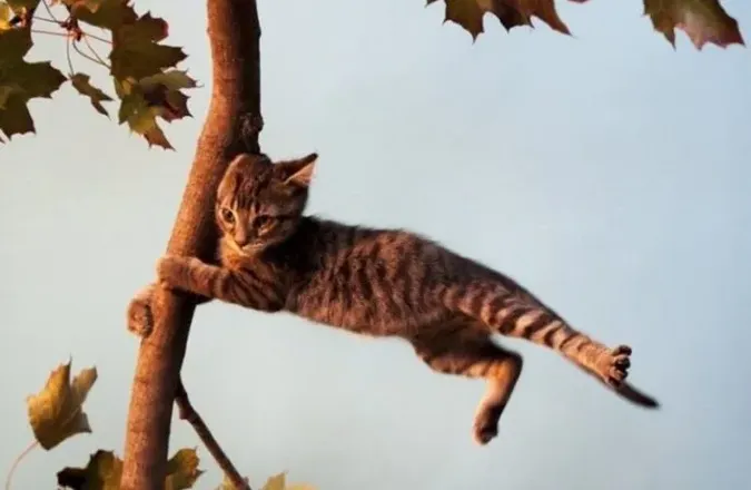 На Волині прогнозують небепечні зміни погоди