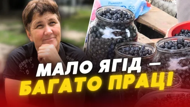 Чорниця б'є рекорди у ціні: скільки коштує ягода на ринках Луцька (відео)