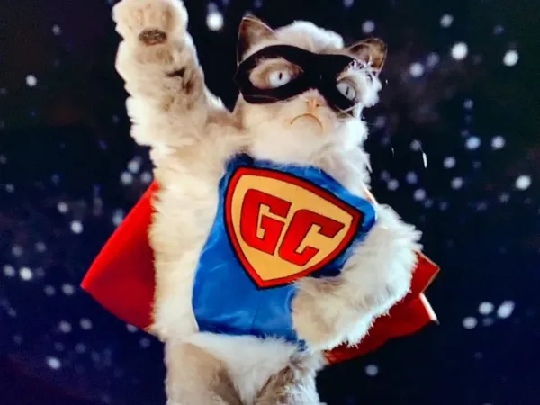 Знаменита в Instagram сердита кішка Grumpy Cat померла (фото)
