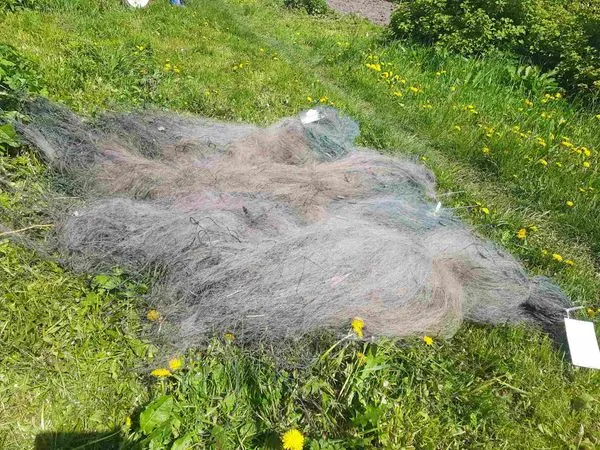 Сітками з човна: на Ковельщині браконьєр ловив сомиків у заказнику (фото)