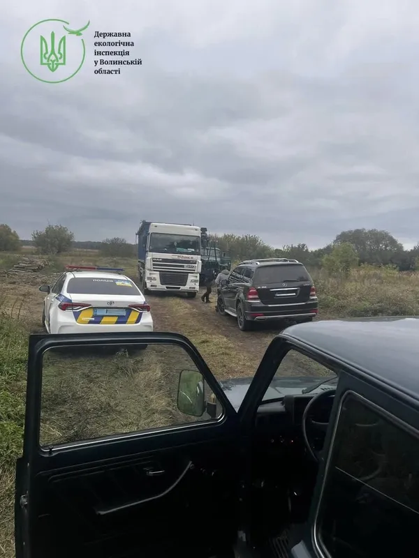Пиляли, поки не приїхали інспектори: на Волині викрили незаконну рубку дерев (фото)