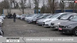 Skoda до $12 000: які варіанти можна знайти на автобазарі у Луцьку (відео)