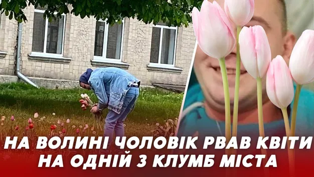 Дівчині буде приємно: «Ромео» у Нововолинську обскубав чужу клумбу (відео)