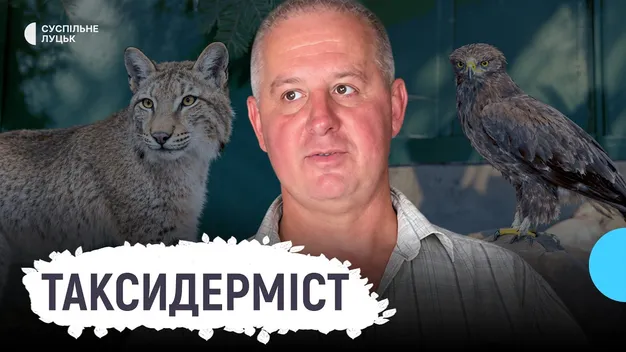 Рись із браконьєрської петлі та олень після ДТП: що зберігає музей фауни на Волині (фото, відео)