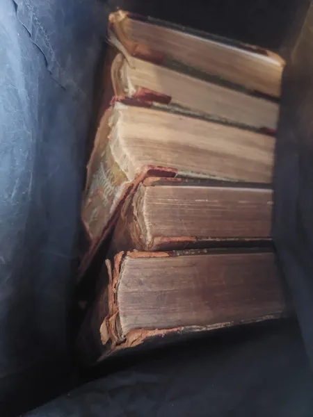 Естонець хотів вивезти через Волинь книги царської росії