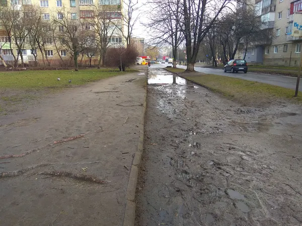 Суцільна калюжа: у Луцьку поскаржилися на доріжку на вулиці Ветеранів (фото)