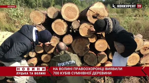 Сім обшуків – понад 700 кубів лісу: на Волині знайшли сумнівну деревину (фото, відео)
