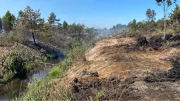 Розгорілося на чотири гектари: на Волині гасять пожежу торфовища (фото)