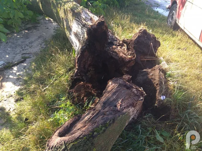 На Волині буревій наробив лиха (фото, відео)