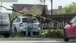 У Нововолинську дерево впало на автівку під час руху (відео)