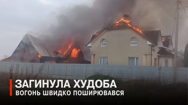 «Рятувальники приїхали без води»: під Луцьком – масштабна пожежа (відео)