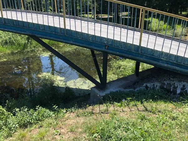 Містки у луцькому парку пофарбують і підсвітять (фото)