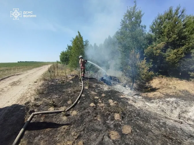 За добу на Волині вогонь знищив пів гектара рослин (фото)