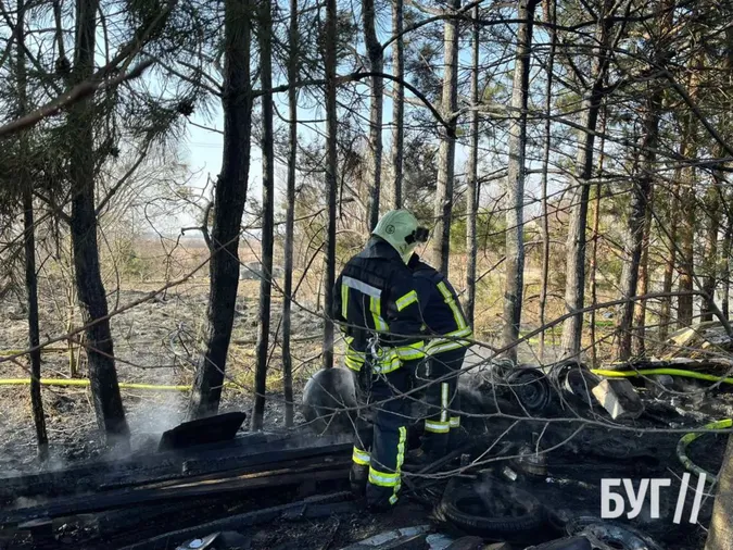 У Володимирі невідомі підпалили сосни біля житлового будинку (фото)