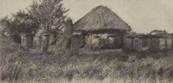 Пасіка біля Рівного