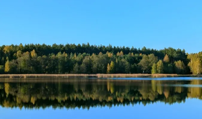 Неподалік від Луцька знайшли таємниче озеро, заховане серед соснового лісу (відео)
