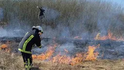На Волині за допомогою БпЛА виявили пожежу – тепер шукають палія (відео)