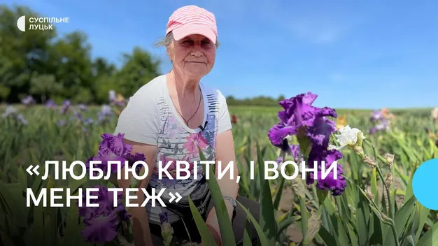 «Люблю квіти, і вони мене теж», – 77-річна лучанка вирощує орієнтовно 400 сортів ірисів