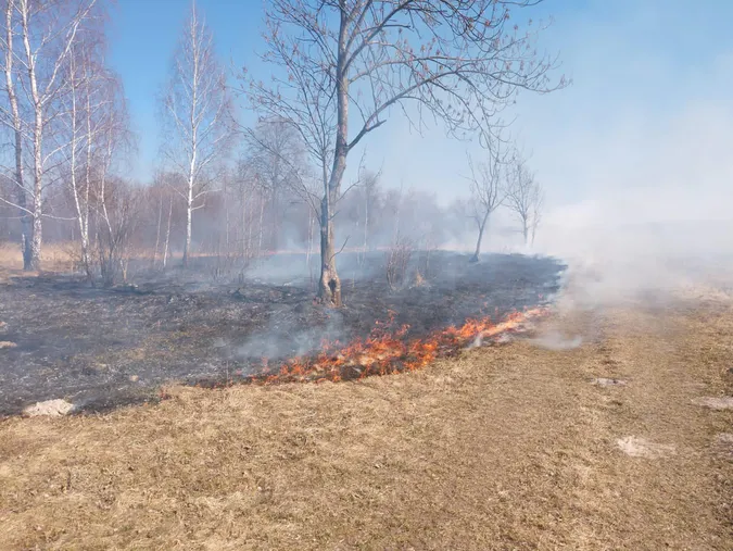 На Волині за кілька днів вигоріло понад 1200 гектарів землі (фото, відео)