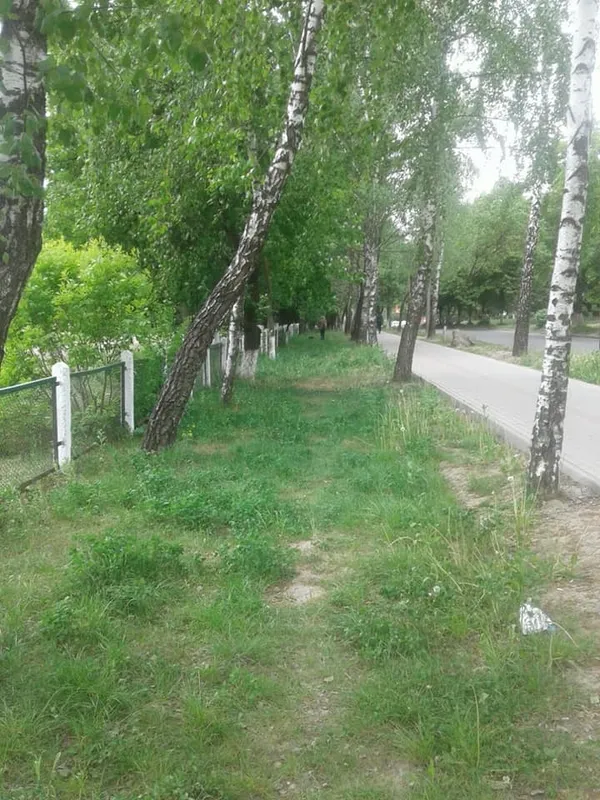 Луцьких підприємців просять підстригти газони (фото)