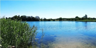 Чиста вода і багато риби: біля Луцька відкрили сезон на популярному озері (фото, відео)