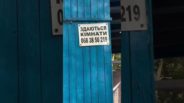 Сосновий ліс і чисті пляжі: біля Луцька є ідеальне місце відпочинку, де мало людей і багато риби (відео)