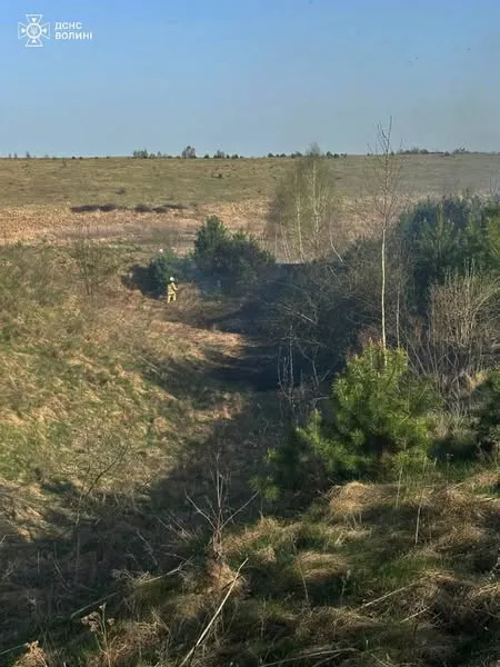 На Волині вогонь випалив 34 гектари сухої трави, чагарників та очерету (фото)