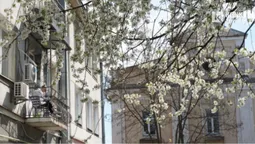 Весняний Луцьк: як місцеві прогулюються заквітчаним центром (фото)