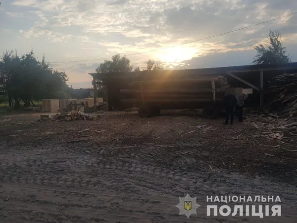 У волинянина знайшли причіп, повний деревини без документів (фото)