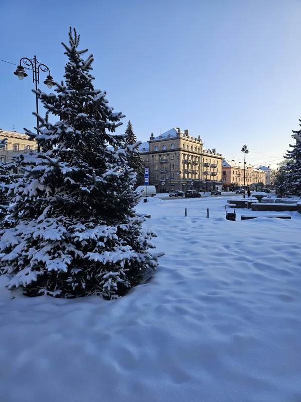 Кликуни несуть світло: показали мальовничі ранкові пейзажі Луцька (фото)