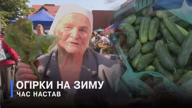 На базарі у Луцьку – огірковий бум: скільки коштує кілограм (відео)