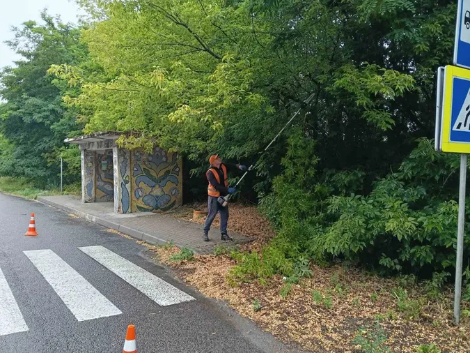 На дорогах Волині косять узбіччя та борються з борщівником (фото)