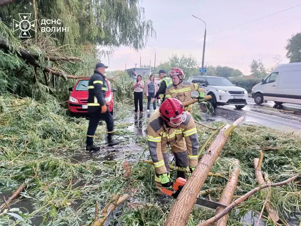 Після буревію у Луцьку рятувальники прибирали дерева з доріг і дворів (фото)