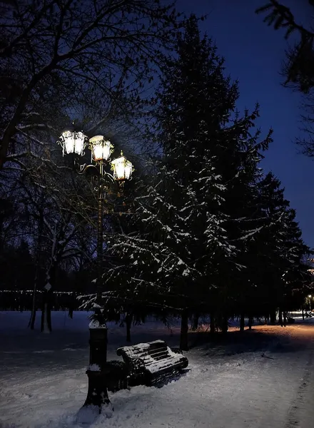 Як виглядає Центральний парк Луцька у зимових сутінках (фото)