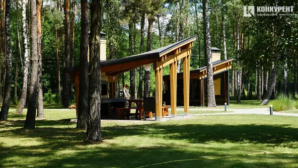Де безпечно відпочивати з дітьми: ДП «Ліси України» запускає другий етап проєкту «Вікно у ліс»