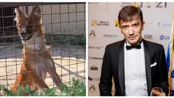 «Усиновив» вовка: відомий у 2000-х ексдіджей підтримав Луцький зоопарк