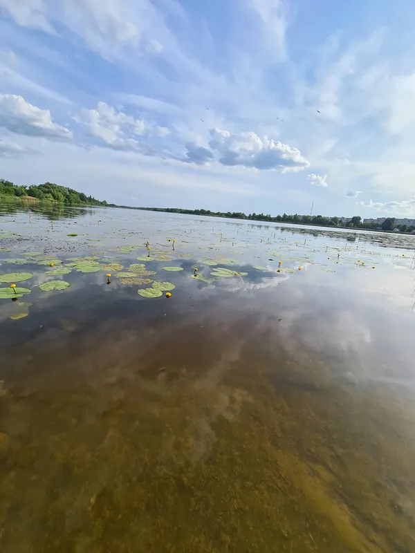 Неймовірна краса волинської річки (фото)