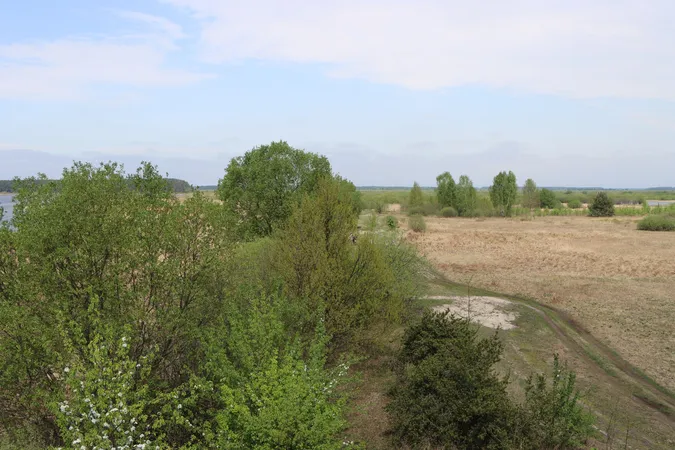 Квіти, сонце і весна: показали красу великого волинського озера (фото)