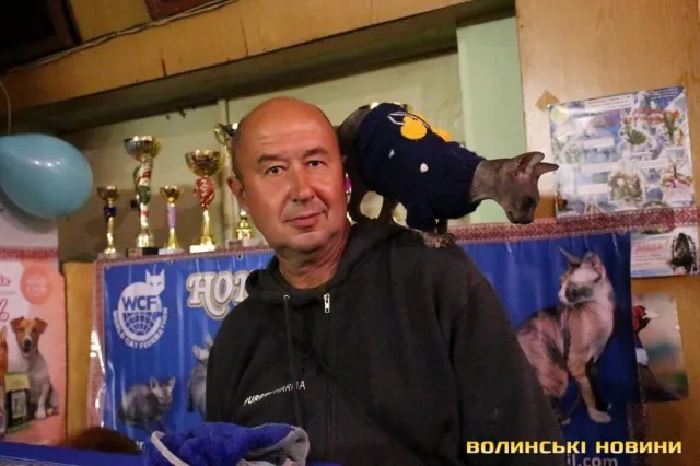 Мейн-куни, сфінкси, бенгали: у Луцьку відбулася Національна виставка кішок (фото)