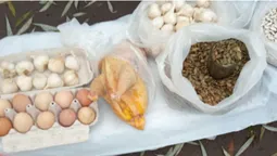 Кури, півні, індики, качки: скільки коштує домашня птиця на ринку в Луцьку (фото)