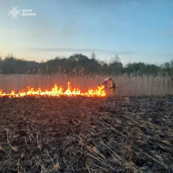 Волинь – у вогні: за добу в області сталися 10 пожеж (фото)