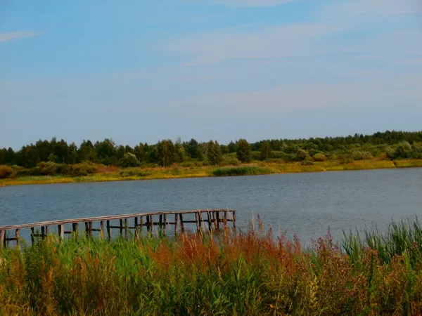Глибоке і з прозорою водою: біля Луцька є озеро, де водиться багато риби (фото)