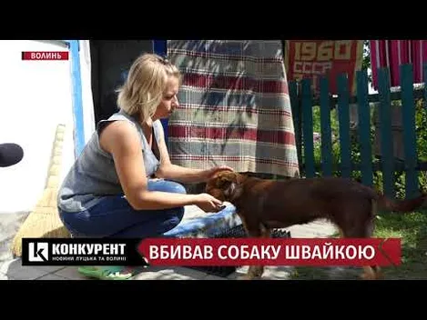 Волинянин катував сусідського пса: деталі жорстокої історії