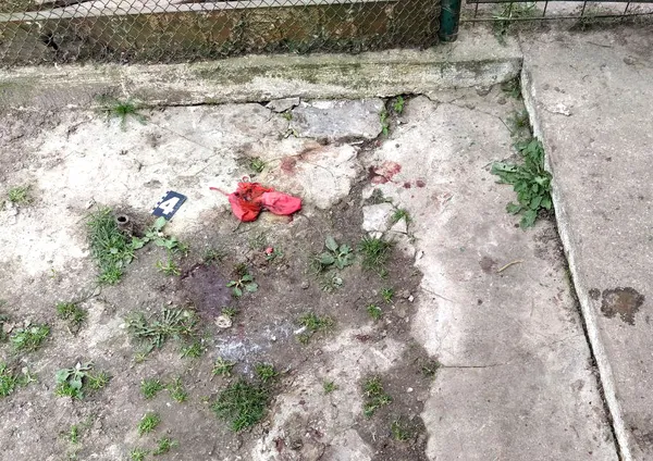 Трагедія на Рівненщині: домашній собака загриз немовля