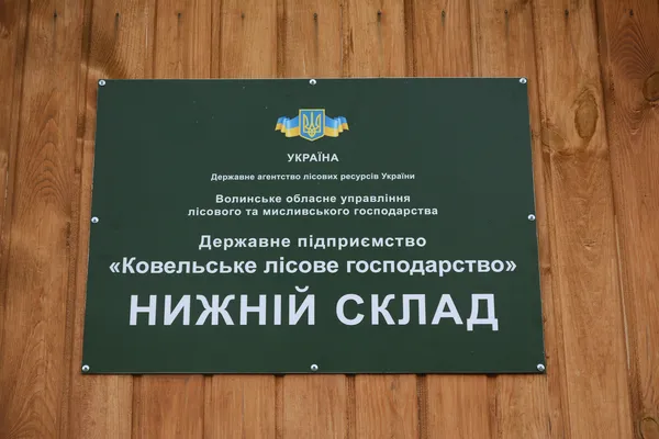 Від сучків до дубових заготовок: як на Волині «пиляють» ліс (ФОТОРЕПОРТАЖ)