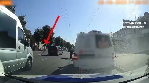 У Луцьку триває відлов «безсмертних» пішоходів (відео)